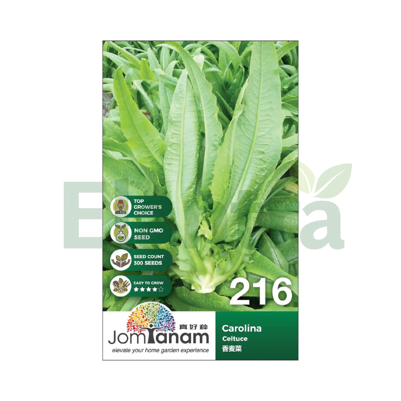 216 CELTUCE
